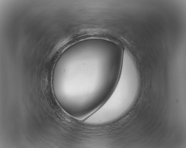 X0000051251261200506170832
