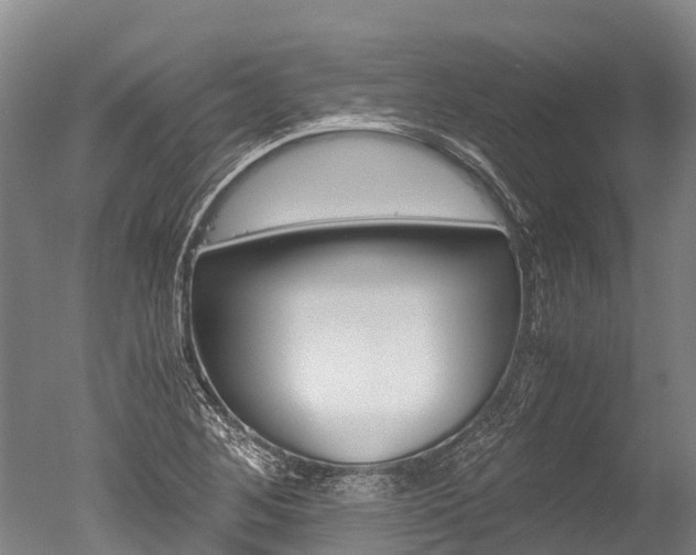 X0000051251268200506170832