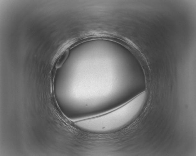 X0000051251269200506170832