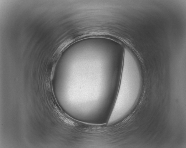 X0000051251273200506170832