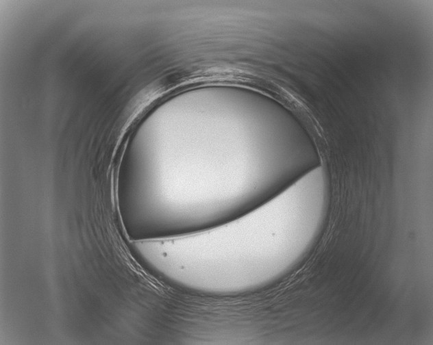 X0000051251275200506170832