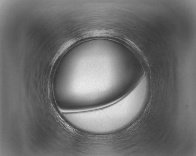 X0000051251277200506170832