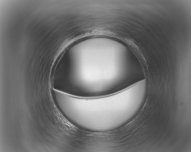 X0000051251280200506170832