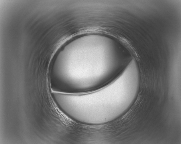 X0000051251288200506170832