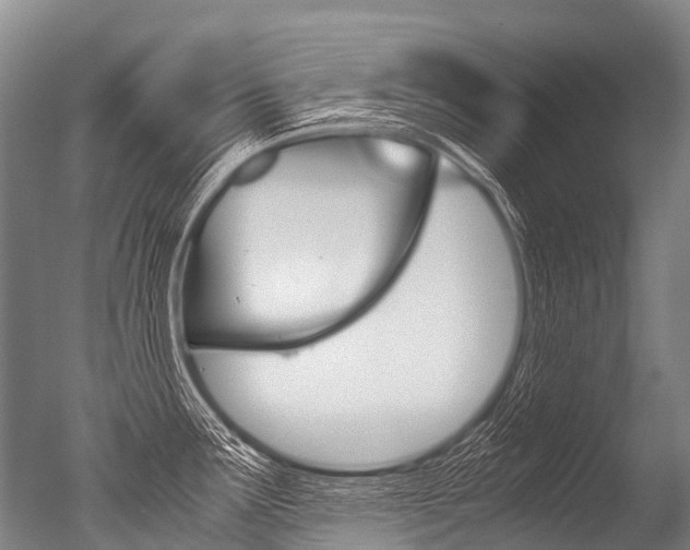 X0000051251291200506170832