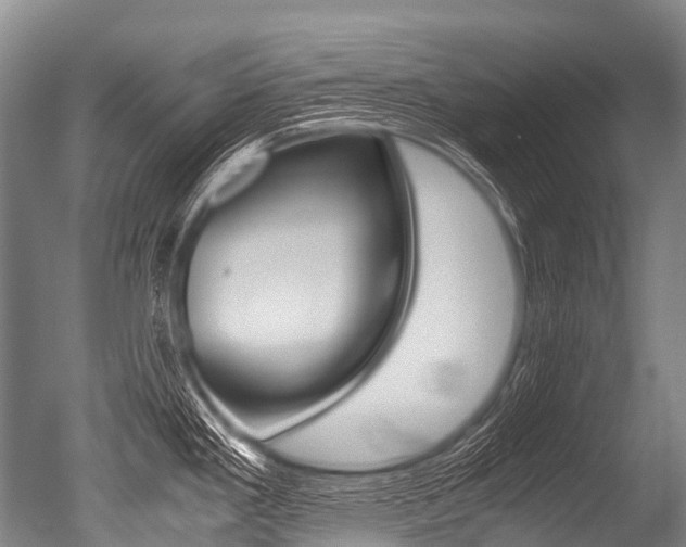 X0000051251293200506170832