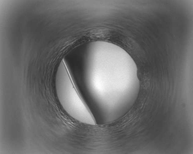 X0000051251297200506170831