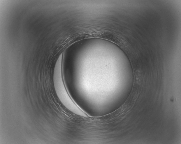 X0000051251298200506170831