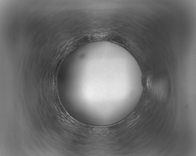 X0000051251299200506170831