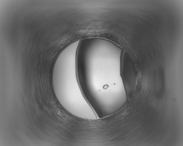 X0000051251300200506170831