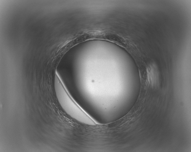X0000051251301200506170831