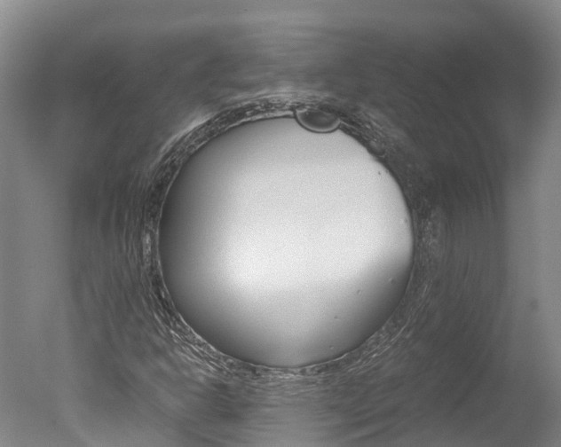 X0000051251302200506170831