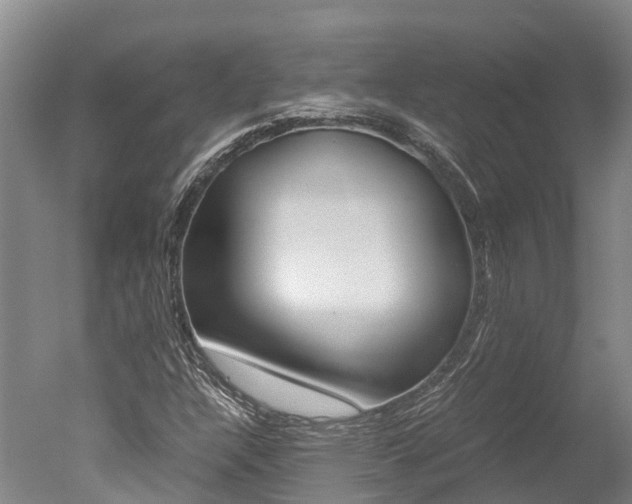 X0000051251304200506170831