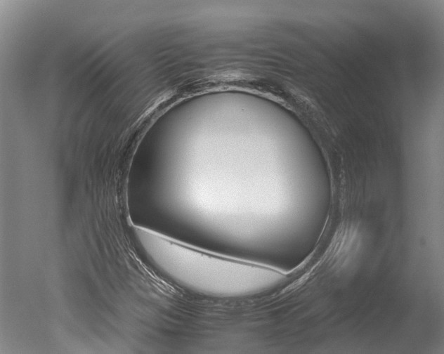 X0000051251305200506170831