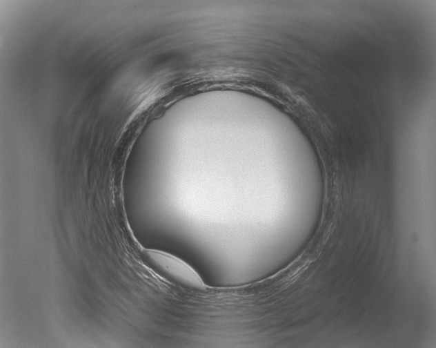 X0000051251306200506170831