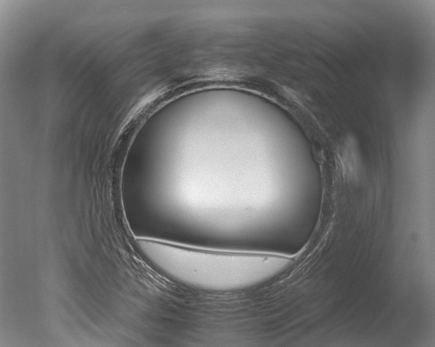 X0000051251307200506170831
