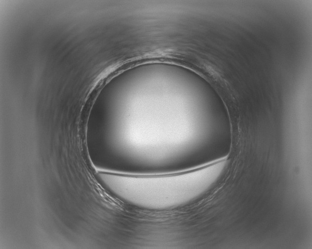 X0000051251308200506170831