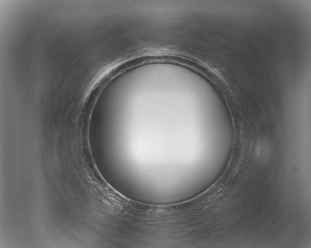 X0000051251311200506170831