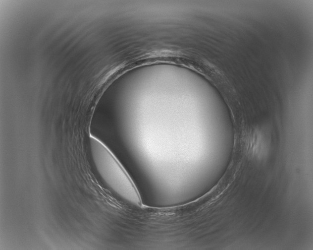X0000051251313200506170831