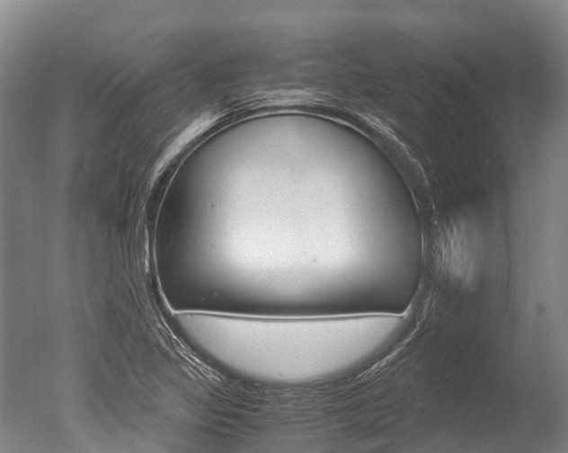 X0000051251317200506170831