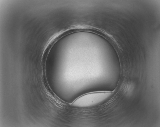 X0000051251319200506170831