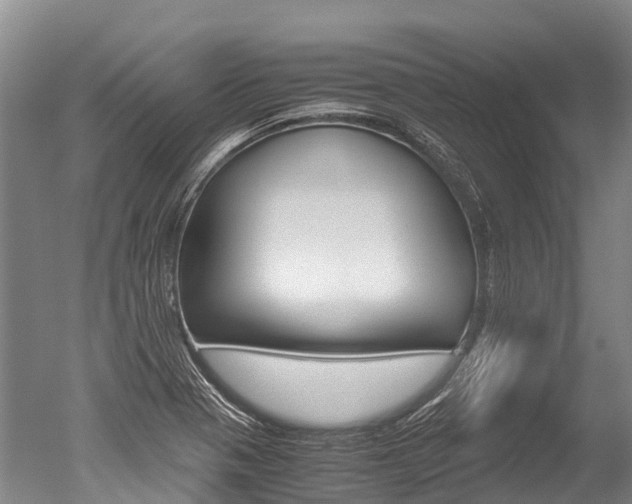 X0000051251321200506170831