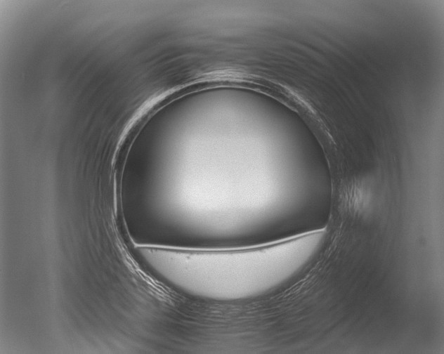 X0000051251323200506170831
