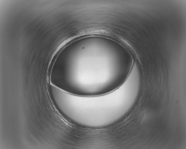 X0000051251324200506170832
