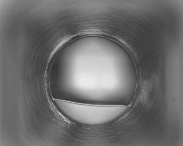 X0000051251325200506170832