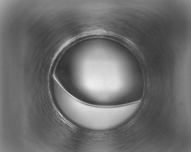 X0000051251326200506170832