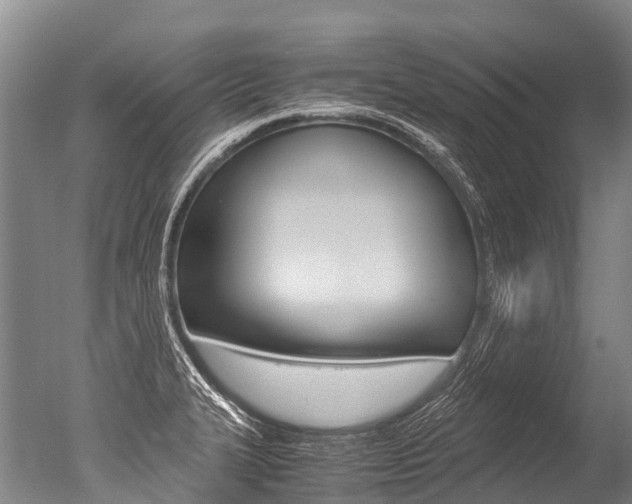 X0000051251327200506170832