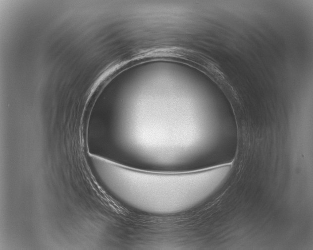 X0000051251328200506170832