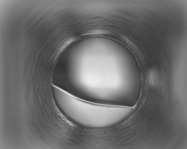 X0000051251329200506170832