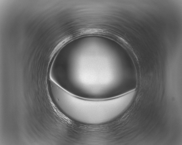 X0000051251330200506170832
