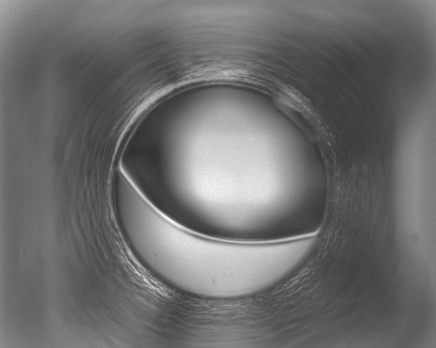 X0000051251332200506170832