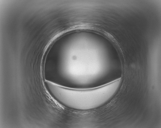 X0000051251334200506170832