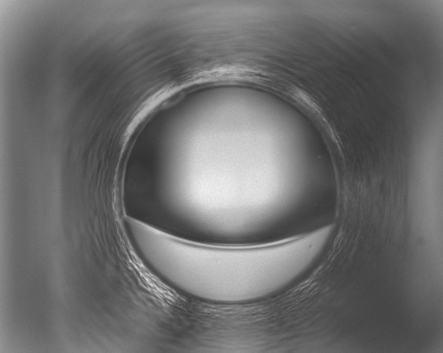 X0000051251336200506170832