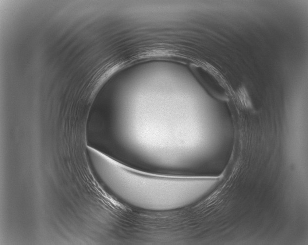 X0000051251337200506170832