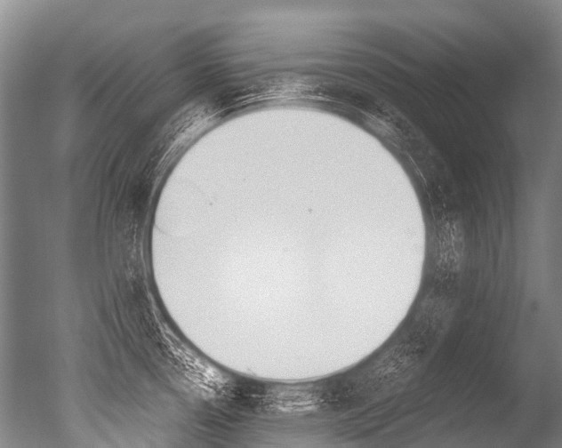 X0000051251338200506170832