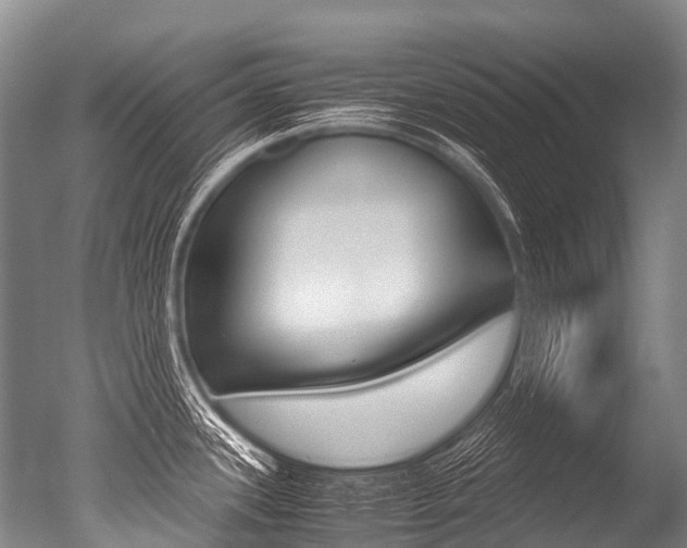 X0000051251339200506170832
