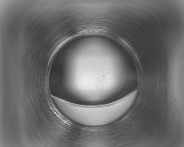 X0000051251340200506170832