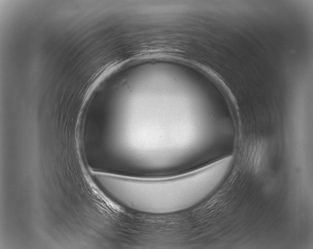 X0000051251341200506170832