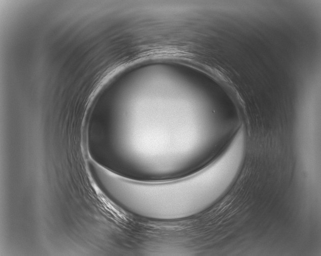X0000051251342200506170832