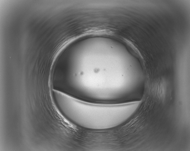 X0000051251343200506170832