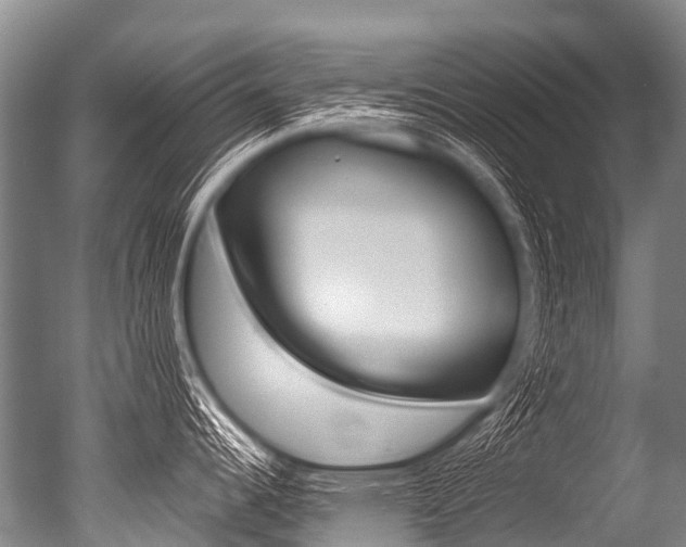 X0000051251344200506170832