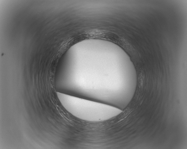 X0000051251346200506170831