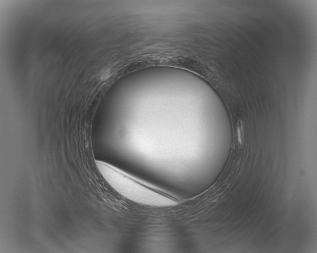 X0000051251347200506170831