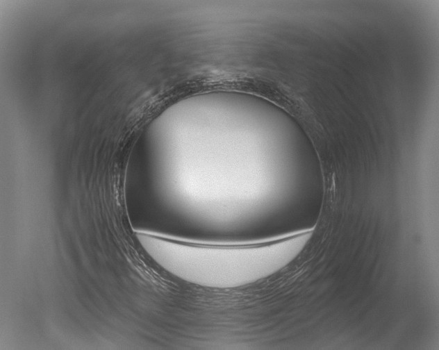 X0000051251348200506170831