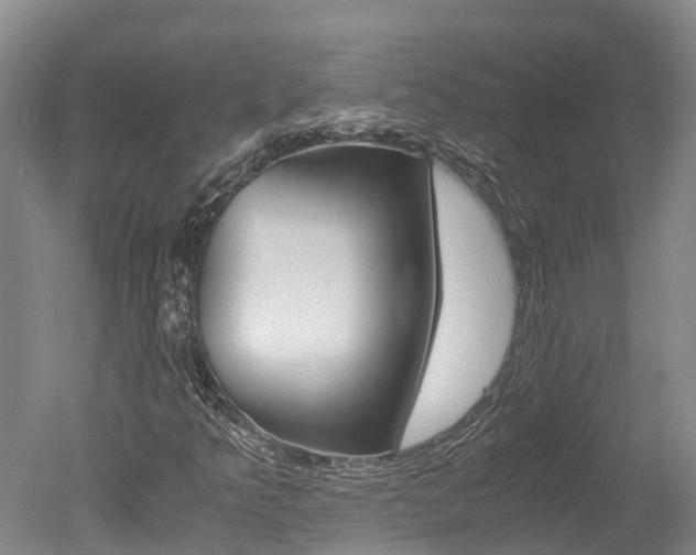X0000051251349200506170831