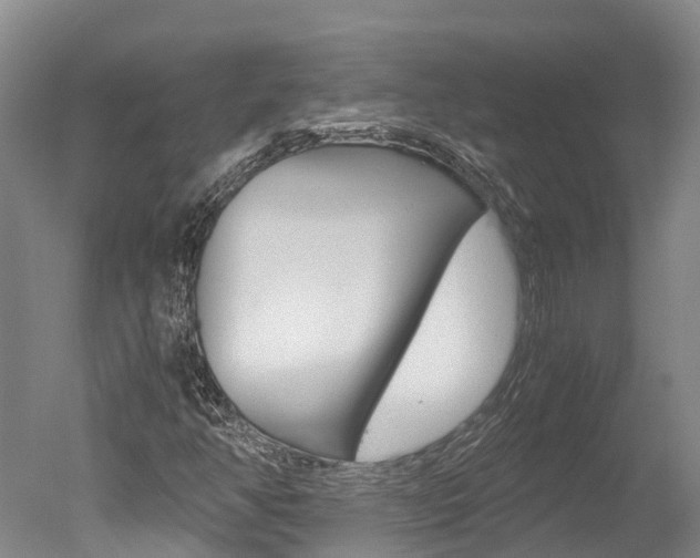 X0000051251350200506170831